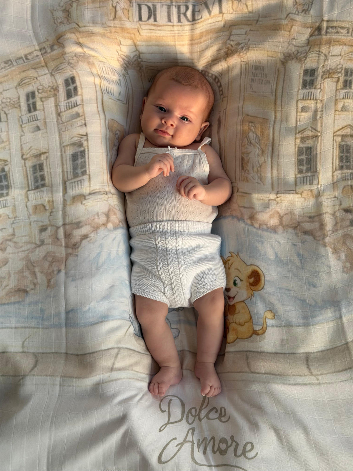 Muslin Swaddle - Trevi